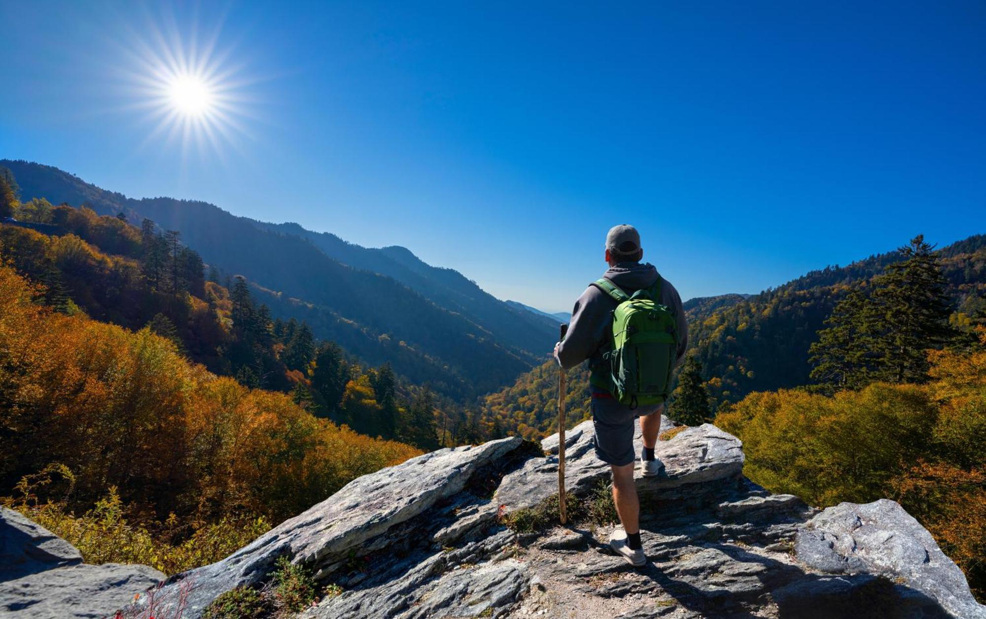 Rest Assured, Wifi, 1089 Free Tickets Each Paid Day, Dollywood And More 비둘기 포지 외부 사진