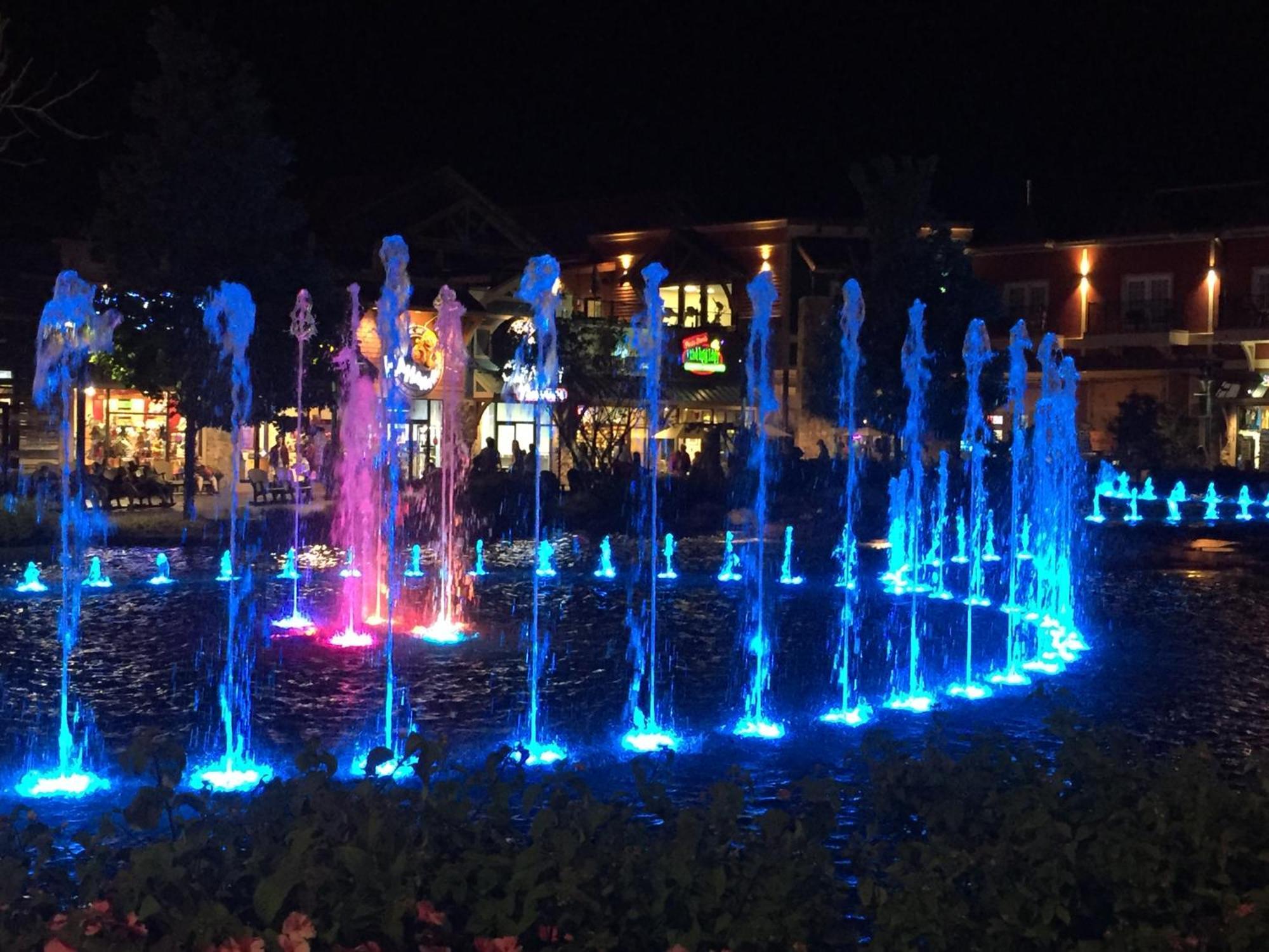 Rest Assured, Wifi, 1089 Free Tickets Each Paid Day, Dollywood And More 비둘기 포지 객실 사진